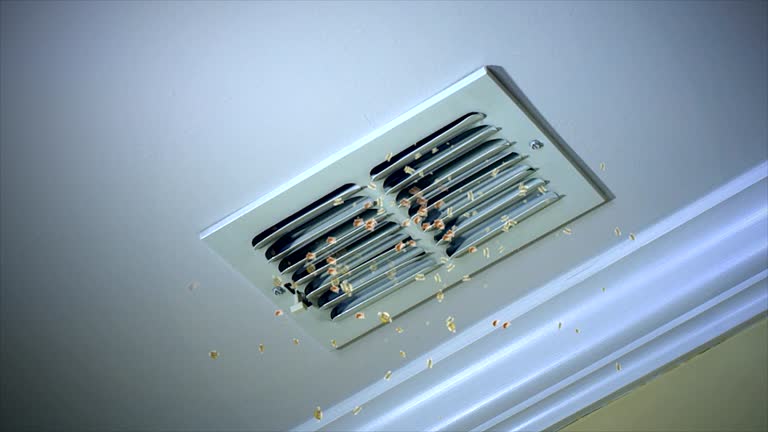 Best Ventilation Cleaning Services  in Hamilton, GA